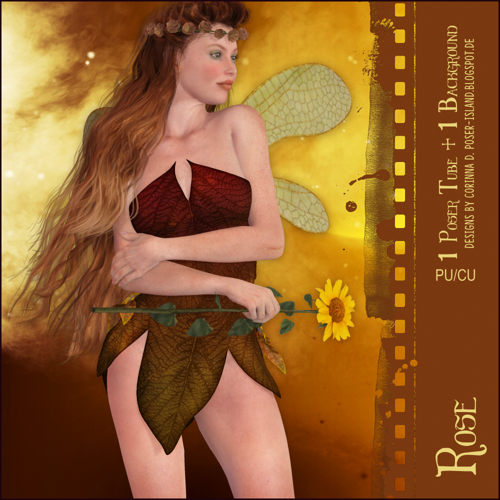 (image for) Rose